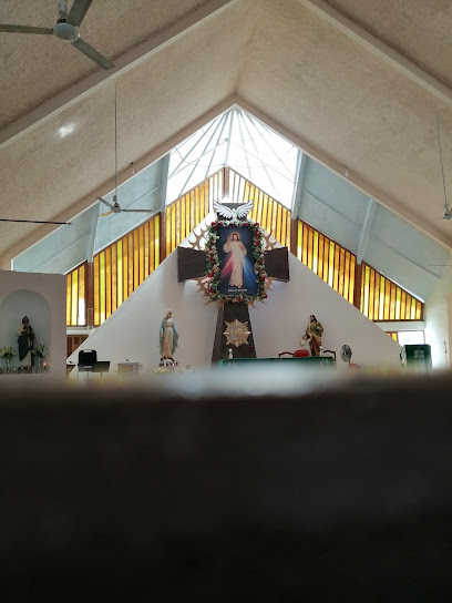 Los Cabos - Cuasi-Parroquia Divina Misericordia